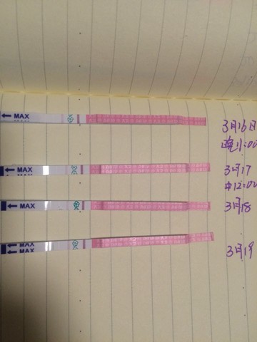 journal_insert_pic_430542954