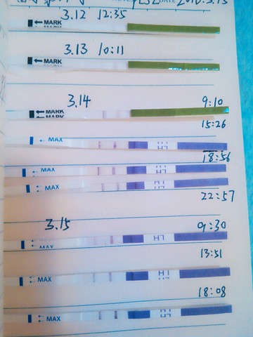 journal_insert_pic_431565134