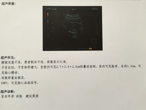 journal_insert_pic_431519084