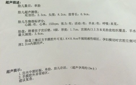 journal_insert_pic_432214848