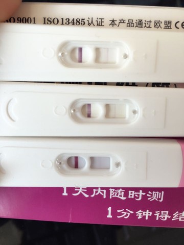 journal_insert_pic_432595043