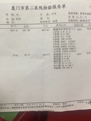 journal_insert_pic_432216144