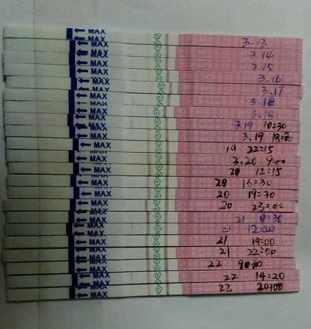 journal_insert_pic_432715302