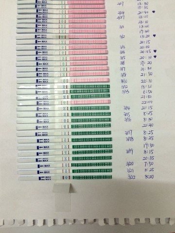 journal_insert_pic_432053545