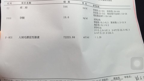 journal_insert_pic_433669358