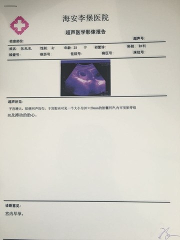 journal_insert_pic_433699373