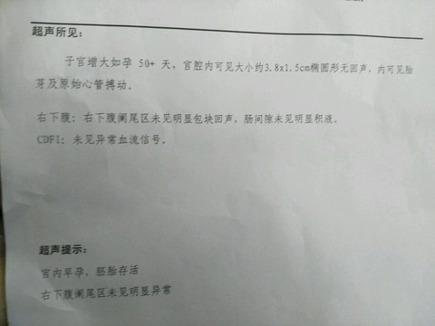 journal_insert_pic_433241256