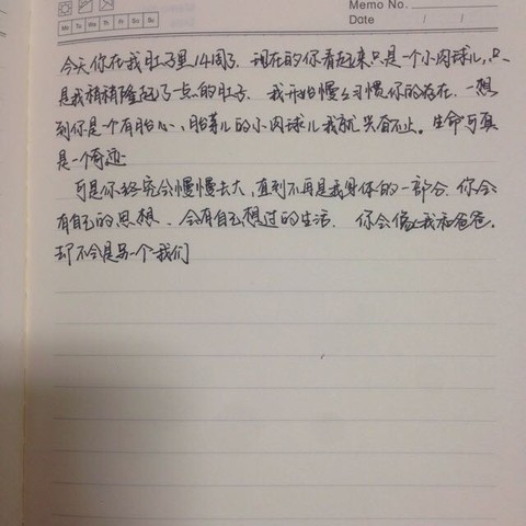 journal_insert_pic_433793170