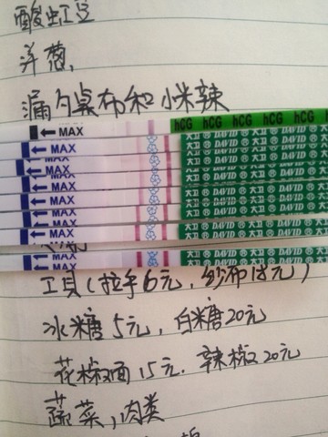 journal_insert_pic_434941900