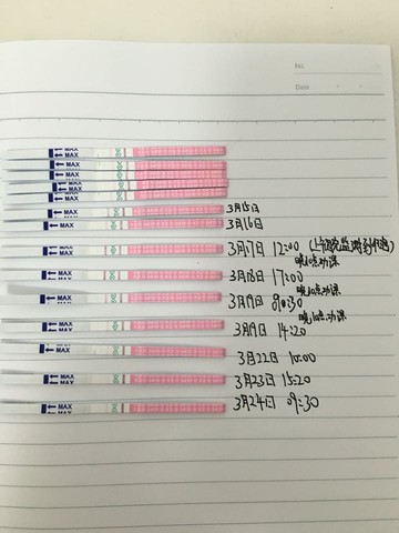 journal_insert_pic_434379566