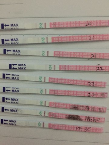 journal_insert_pic_434752497
