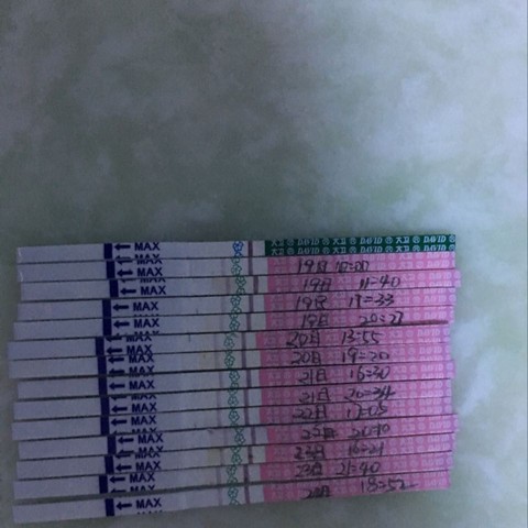 journal_insert_pic_434768628