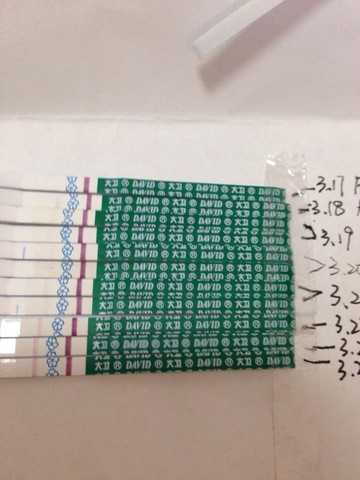 journal_insert_pic_435307217