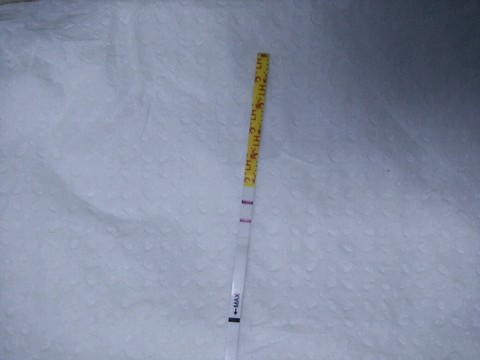journal_insert_pic_435705265