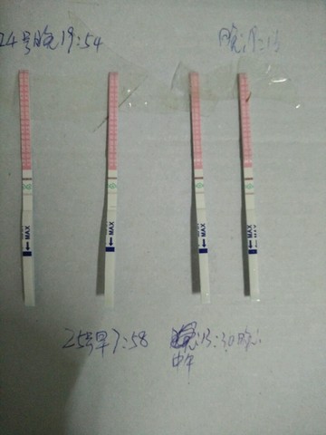 journal_insert_pic_435765242