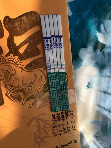 journal_insert_pic_435236272