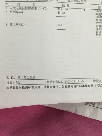 journal_insert_pic_438676280