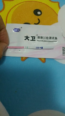 journal_insert_pic_439169531