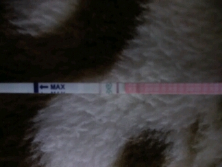 journal_insert_pic_439844761