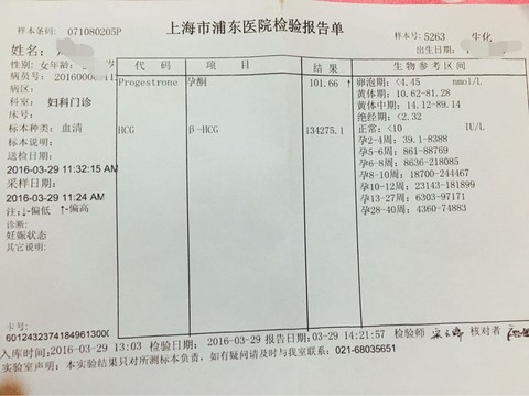 journal_insert_pic_440275144