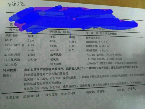 journal_insert_pic_439774911