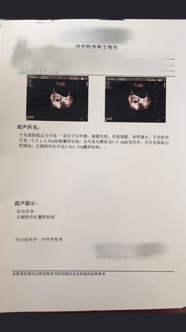 journal_insert_pic_440937377