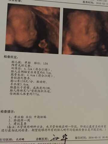 journal_insert_pic_441054192