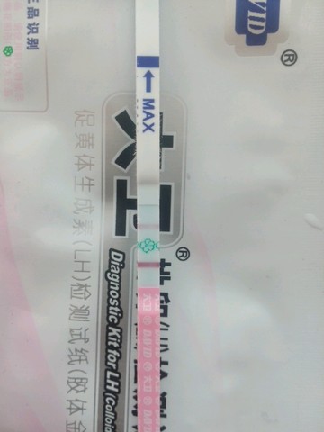 journal_insert_pic_441806172