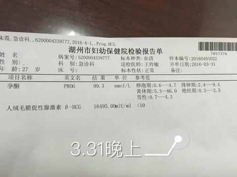 journal_insert_pic_441693846