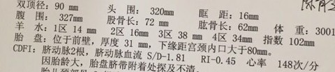 journal_insert_pic_442476527