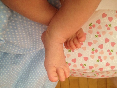 journal_insert_pic_442343821