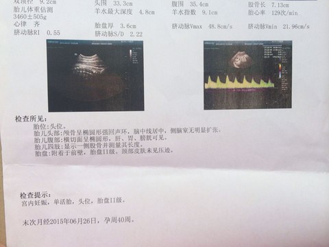 journal_insert_pic_442556297