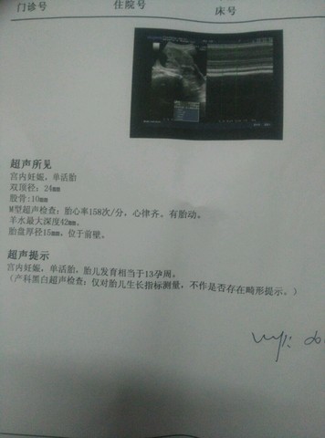 journal_insert_pic_444233939