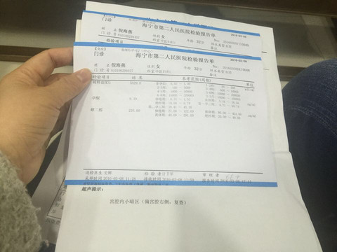 journal_insert_pic_445038170