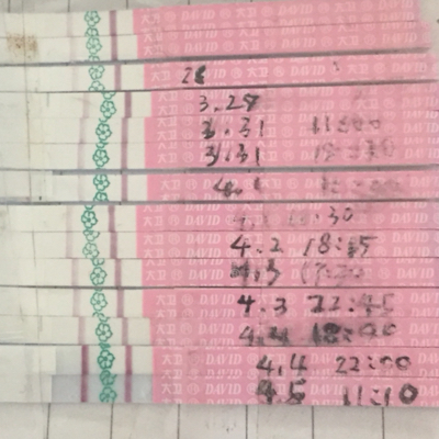 journal_insert_pic_444621151