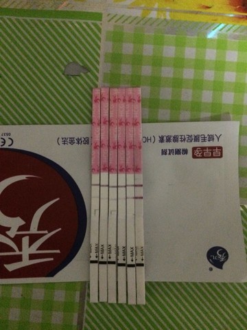 journal_insert_pic_444645001