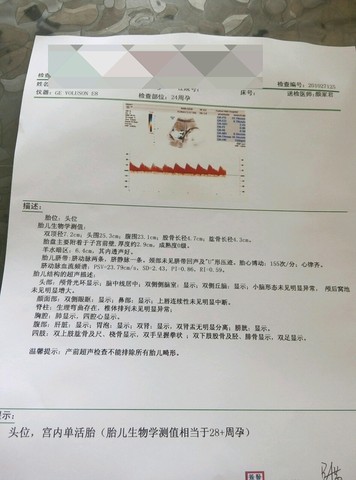 journal_insert_pic_445071029