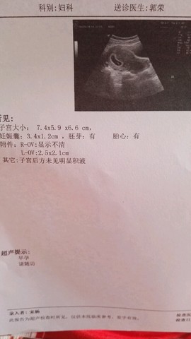 journal_insert_pic_444576976