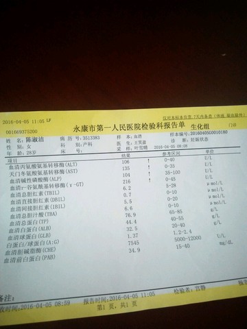 journal_insert_pic_445393587
