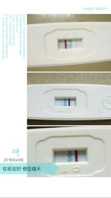 journal_insert_pic_446104270