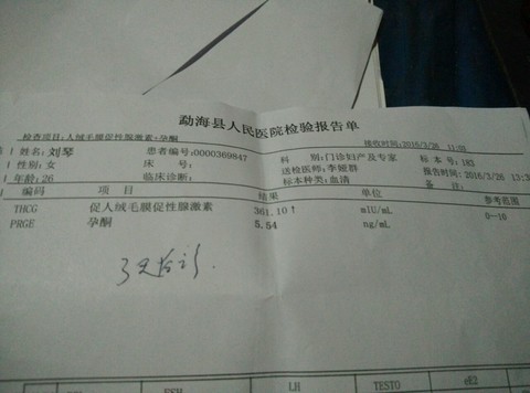 journal_insert_pic_445748515