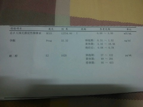 journal_insert_pic_445837863
