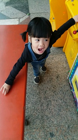 journal_insert_pic_446185547