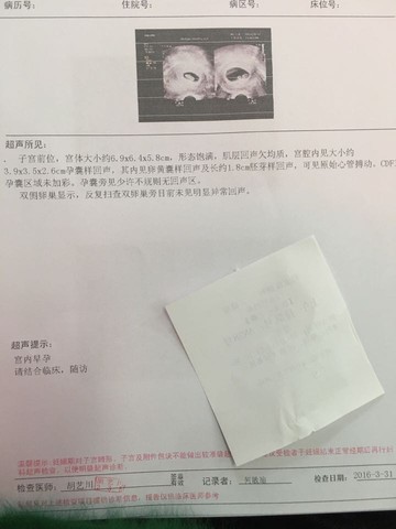 journal_insert_pic_446261538