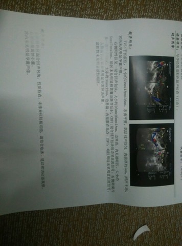 journal_insert_pic_446831373