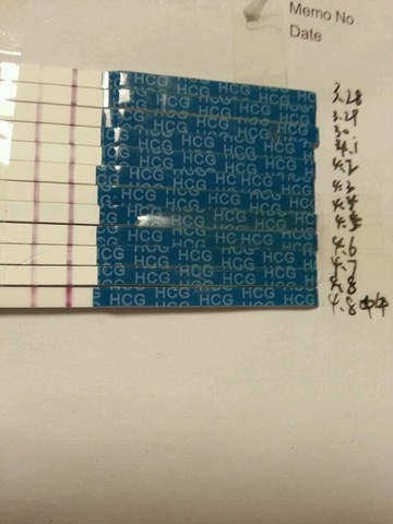 journal_insert_pic_447415025