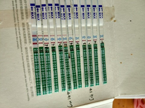journal_insert_pic_447971496