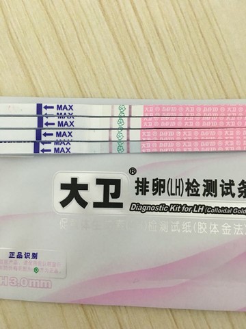 journal_insert_pic_448226896