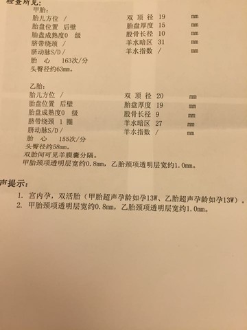 journal_insert_pic_448426146