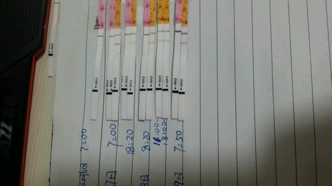 journal_insert_pic_448025045